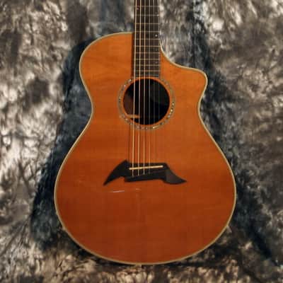 BREEDLOVE PRO SERIES C25/CRH, ACOUSTIC ELECTRIC image 3