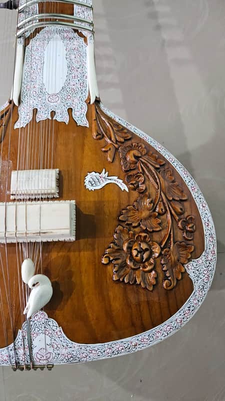 Pro  SITAR,  Ravi Shankar style design image 1