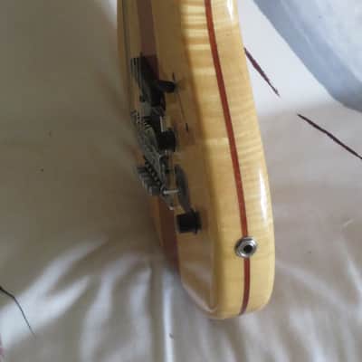 Alembic Employee Neck Through Shopnight Strat image 7
