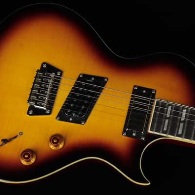 Epiphone Nancy Wilson Fanatic Outfit (#318) image 6