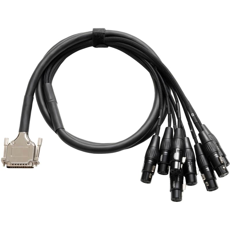 Warm Audio Premier 10 ft. DB25-XLRf Cable image 1