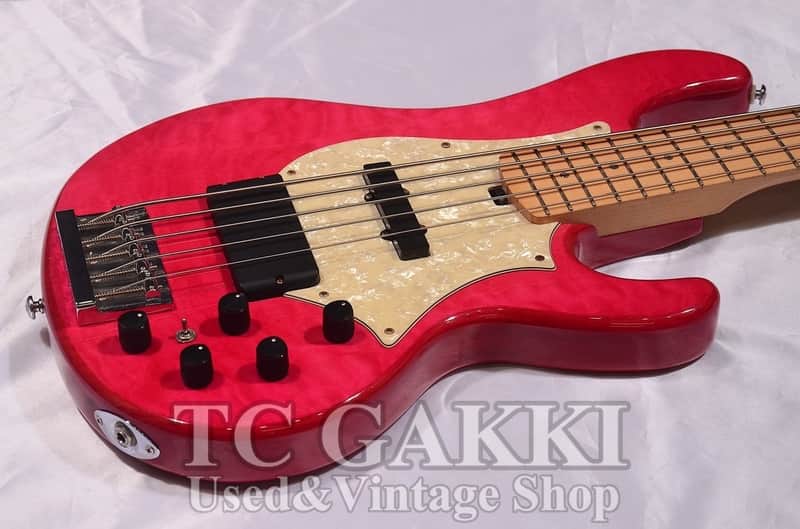 GrassRoots G T 80BD | Reverb Norway