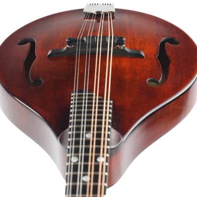 Eastman MD505CC/TV A Style Mandolin B-Stock image 13