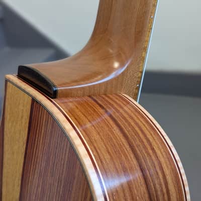 Paul McEvoy Guitars 'Dali' 7 String Multiscale Nylon String Classical Guitar 2024 - Sitka/Pau Rosa image 8