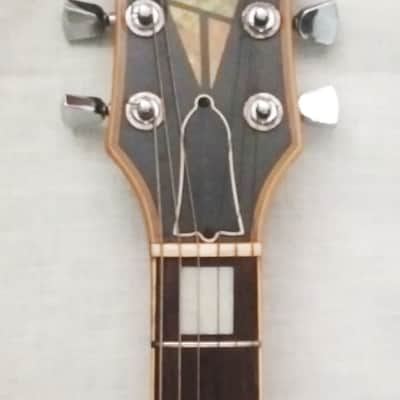 Greco EG-600P Peter Frampton 'Phenix' Model Single Cut Custom image 3