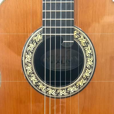 1981 Ovation 1613 Classical Acoustic/Electric image 3
