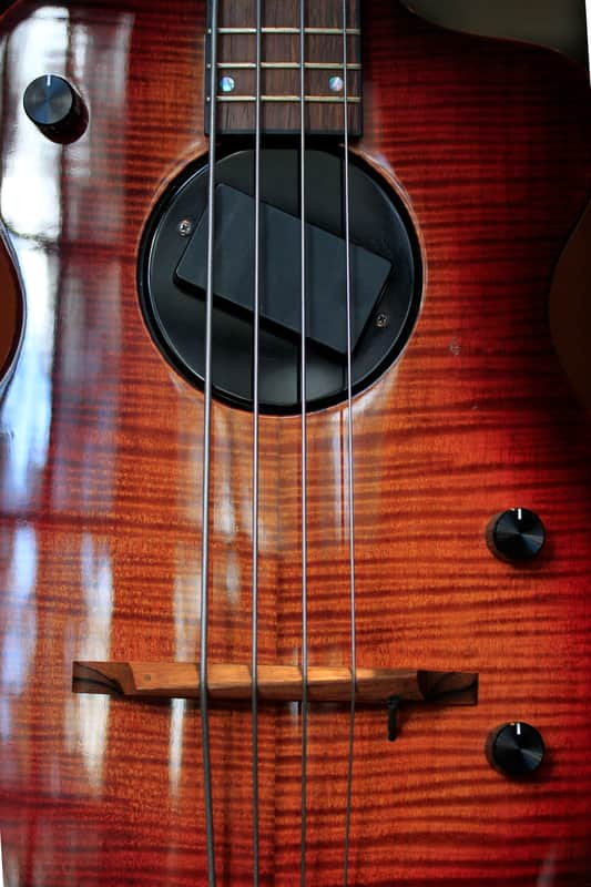 Rick Turner Model 1 2005 Custom Flame Maple Burst image 1