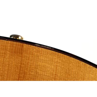 Breedlove Performer Pro Rosewood Concertina Acoustic-Electric Guitar Regular Aged Toner image 6