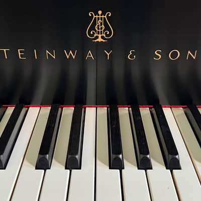 Steinway & Sons Art-Case Model C 1877 - Ebony Satin image 4