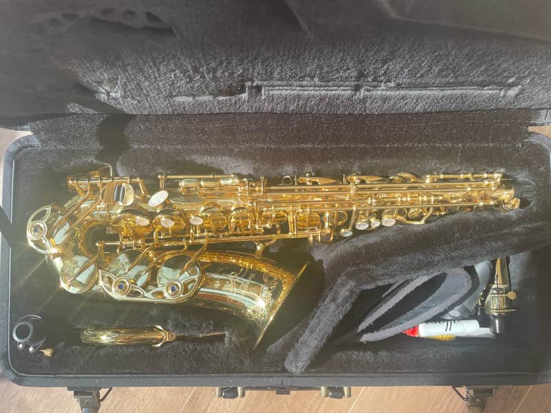 Yanagisawa A-WO10 Alto Saxophone 2016 image 1