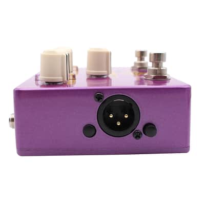 Mosky Audio Gamma Classic Preamp Just arrived Fast US Ship image 6