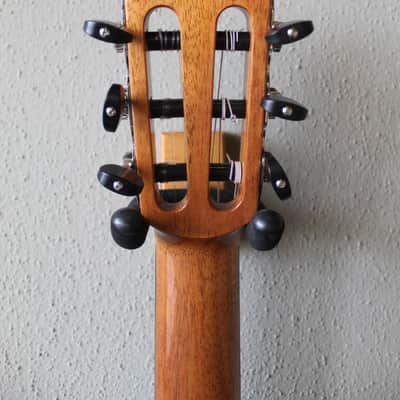 Brand New Cordoba C10 Crossover Spruce Top Nylon String Classical Guitar image 8