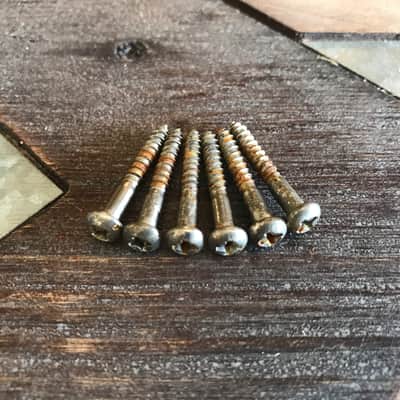 Real Life Relics Fender® Replacement Aged Nickel Stratocaster® Tremolo/Bridge Screws (Set of 6)   [AD4]