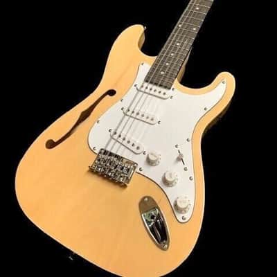 STRAT STYLE SEMI-HOLLOW 12 STRING ELECTRIC GUITAR image 1