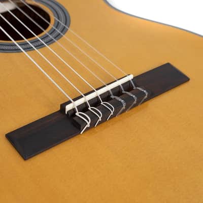 GEWA Student Classical Guitar 1/2, Natural Spruce (VG500110) image 6