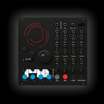 RYK Modular Time Slice Quad Channel Looper image 1