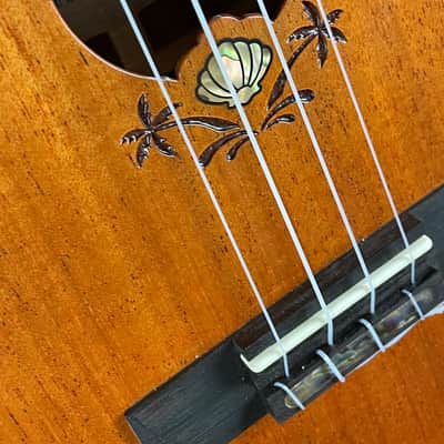 Leho LHUC-ASM-CEL All Solid Mahogany Concert Ukulele + incl. Gigbag image 4