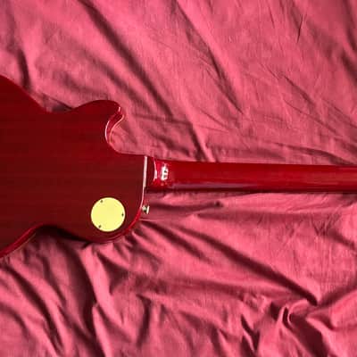 Customized Epiphone Les Paul Standard Pro image 4