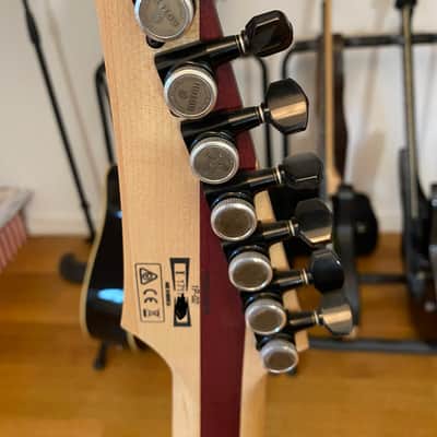 Ibanez RGDIX7MPB-SBB RGD Iron Label image 7