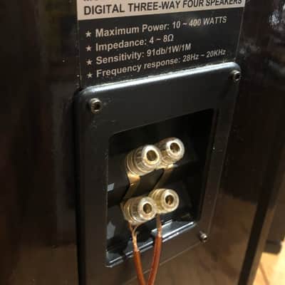 Digital Research PT-1100S Digital Three-Way/Four Speakers(pair for floor) 2000’s Glossy Dark Brown Wood image 7
