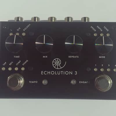 Pigtronix Echolution 3 image 1