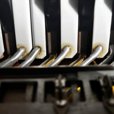 PETOSA AM-1200 Double Tone Chamber Italian Accordion image 11