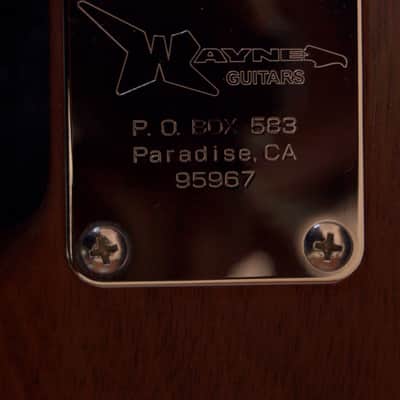Wayne Charvel Guitars Monster handmade by himself image 16
