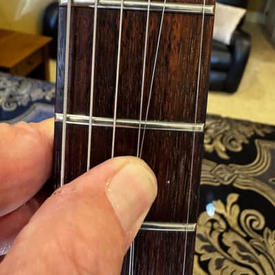 1997 - PRS CE22 - Tortoiseshell image 8