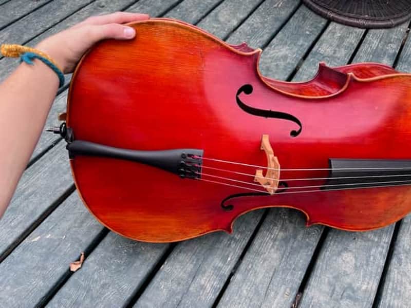 Andreas Eastman VC605 Model 4/4 Cello