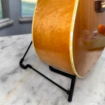 1973 Guild D-44M Solid Maple, Fresh Neck Reset, Bob Colosi Equipped image 5