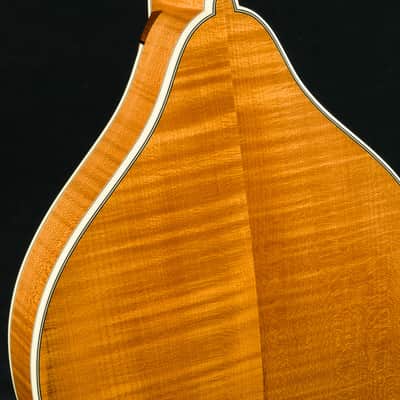 Bourgeois M5A Mandolin Full Aged Tone Adirondack Spruce and European Flamed Maple NEW image 17