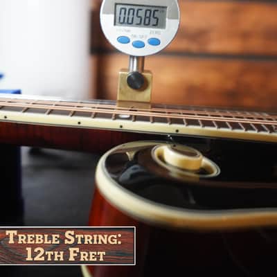 Bourgeois M5-F-BT Aged-Tone Finish Black Top F-Style Mandolin #6112 image 15