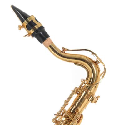 Roy Benson AS-201 Student Alt Saxophon image 2