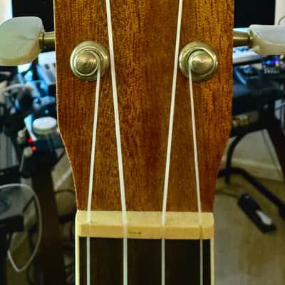 Cordoba 15CM Concert Ukulele image 3