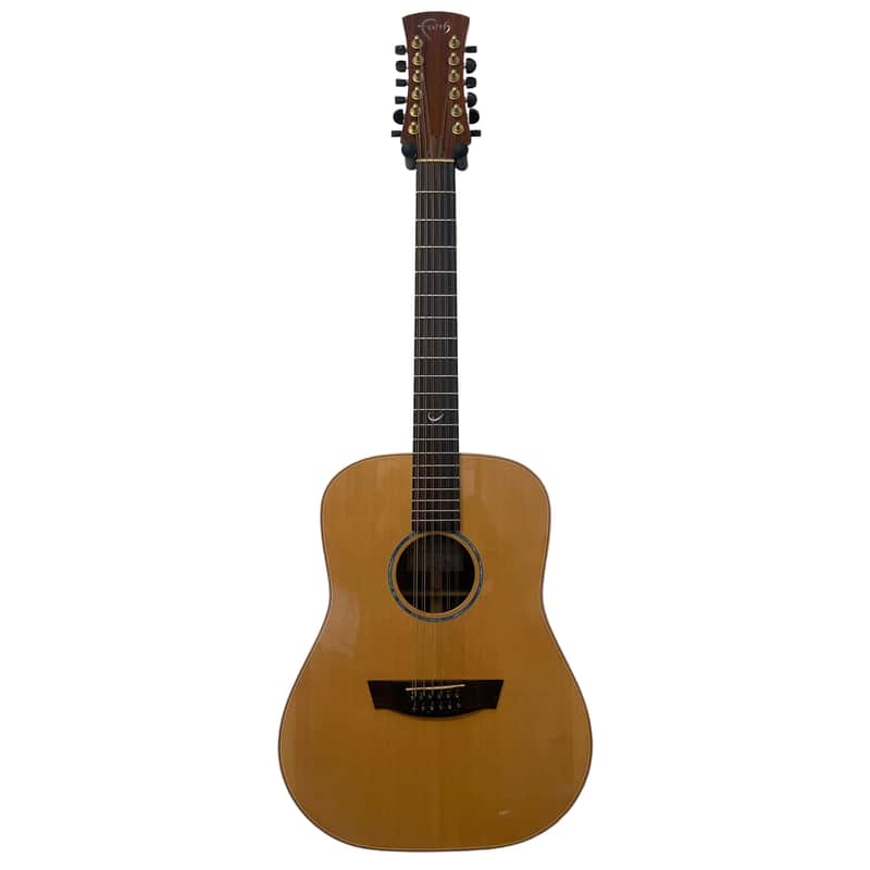Faith HiGloss Series Saturn 12 String Electro Acoustic with Hardcase Pre-Owned image 1