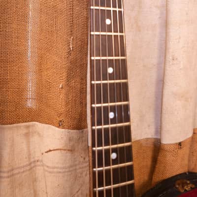 Hamer Sunburst 1977 Sunburst image 4