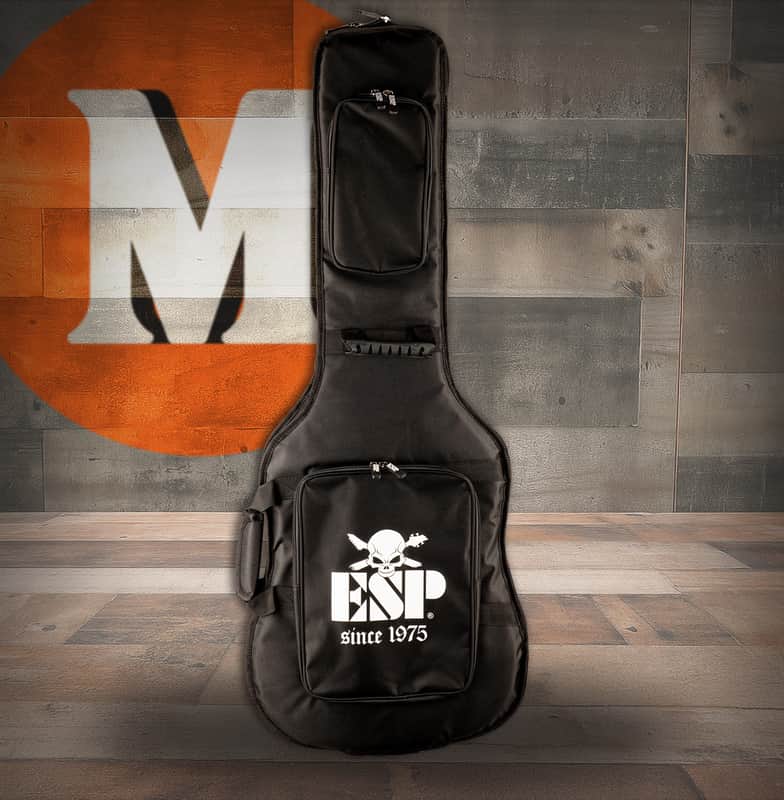 ESP Case Gig Bag Deluxe Guitar (CGIGDXG) image 1