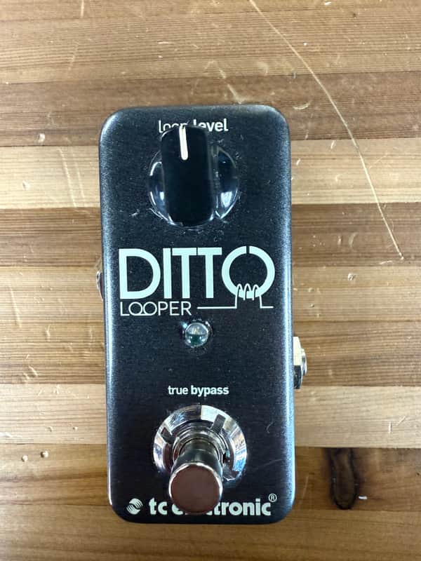 TC Electronic Ditto Looper 2013 - Present - Black image 1