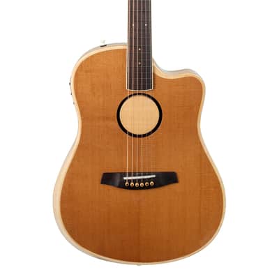L.R. Baggs AEG-1 Acoustic Electric Guitar - Torrefied Sitka Spruce image 1