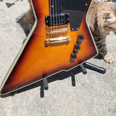 Jericho Nomad Vagabond explorer image 2
