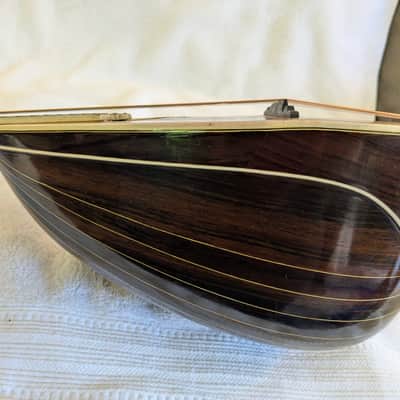 Washburn Model 130 1895-1900 - Gloss image 14