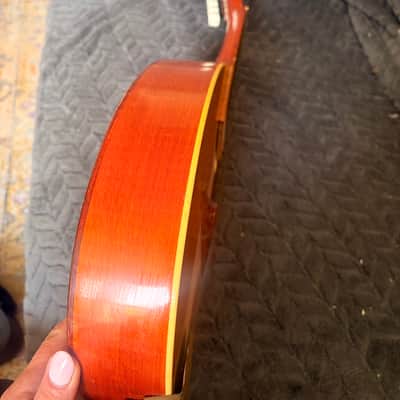 Cremona  Vintage Bowl Mandolin 1970’s - Spruce body image 8