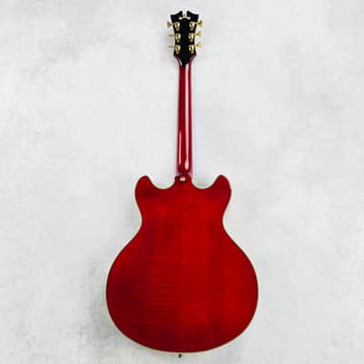 D'Angelico EX-DC Excel 2013 - Transparent Red image 12