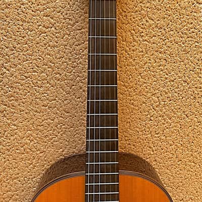 Cordoba C10 Cedar Classical Guitar – Very Good Condition, Pre-Yamaha Era (2019) image 14