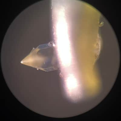 Grace F-9E / Extended Range 4/ MM Cartridge & RS-9E Stylus & Dam Entre Headshell image 7