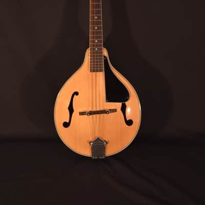 Ventura Mandolin – Excellent Condition! image 1