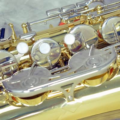 Yamaha TS-100 image 4