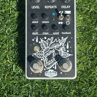 Polar Bear Effects Drowner | Reverb