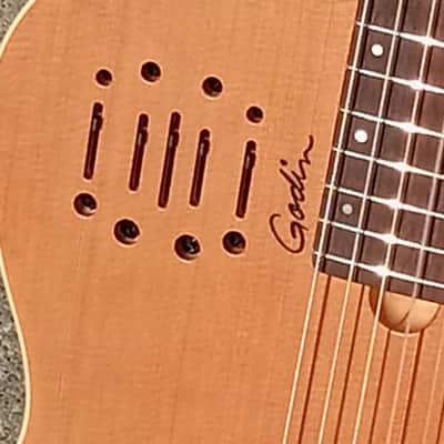 🎸 FOR SALE: 2013 Godin Multiac Nylon Encore – New Old Stock (NOS) 🎸 image 4
