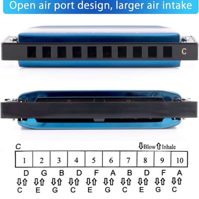 Harmonica Key of C Mouth Organ Diatonic Harmonica with Case, 10 Hole 20 Tones Stainless Blues Harp for Adults, Beginners and Professional (Sapphire Blue) image 4